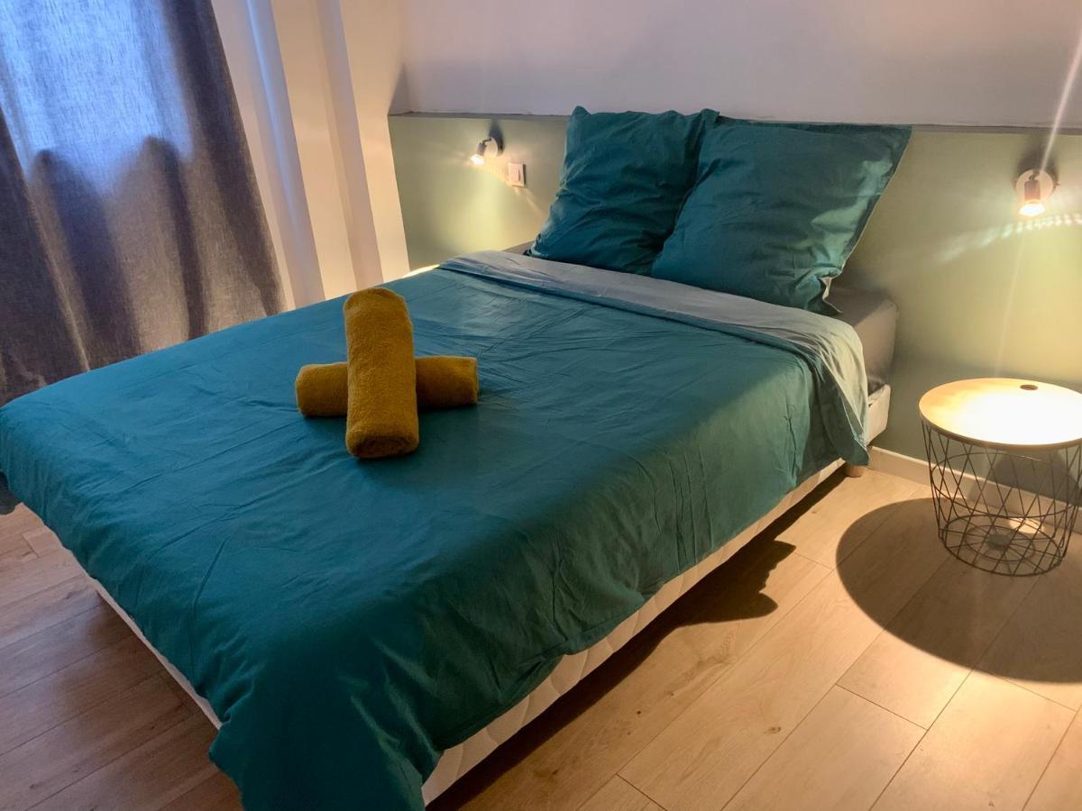 Spacieux Appartement Lumineux Coeur De Ville Pamiers Esterno foto