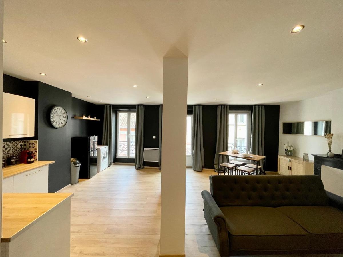 Spacieux Appartement Lumineux Coeur De Ville Pamiers Esterno foto