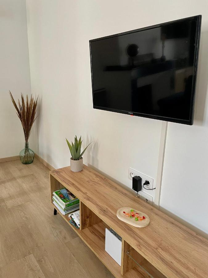 Spacieux Appartement Lumineux Coeur De Ville Pamiers Esterno foto